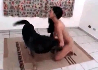 Horny girl enjoying this dog's meaty cock on cam