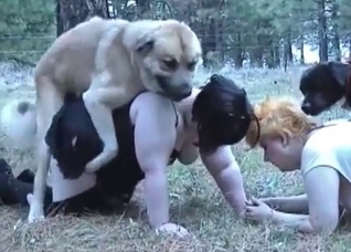 Bestiality banging with fat-ass landwhales