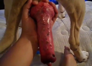 POV handjob for a red dog boner, enjoy