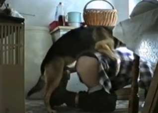 Spontaneous bestiality banging