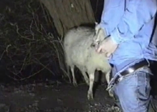 Canadian tuxedo dude fucks his goat