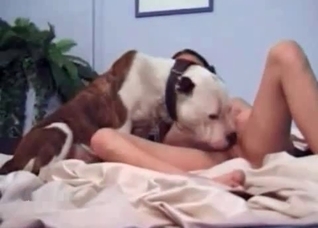 Obedient little pet fucks a thin slut
