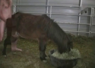Pony asshole getting finger-blasted on cam