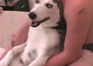 Horny husky enjoying sex in the bedroom