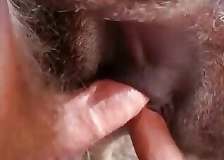 Animal Zoo Sex