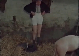 Banging with pigs in the old barn