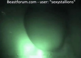 Nighttime bestiality with a sexy stallion