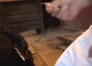 Black dog blowing its massive load